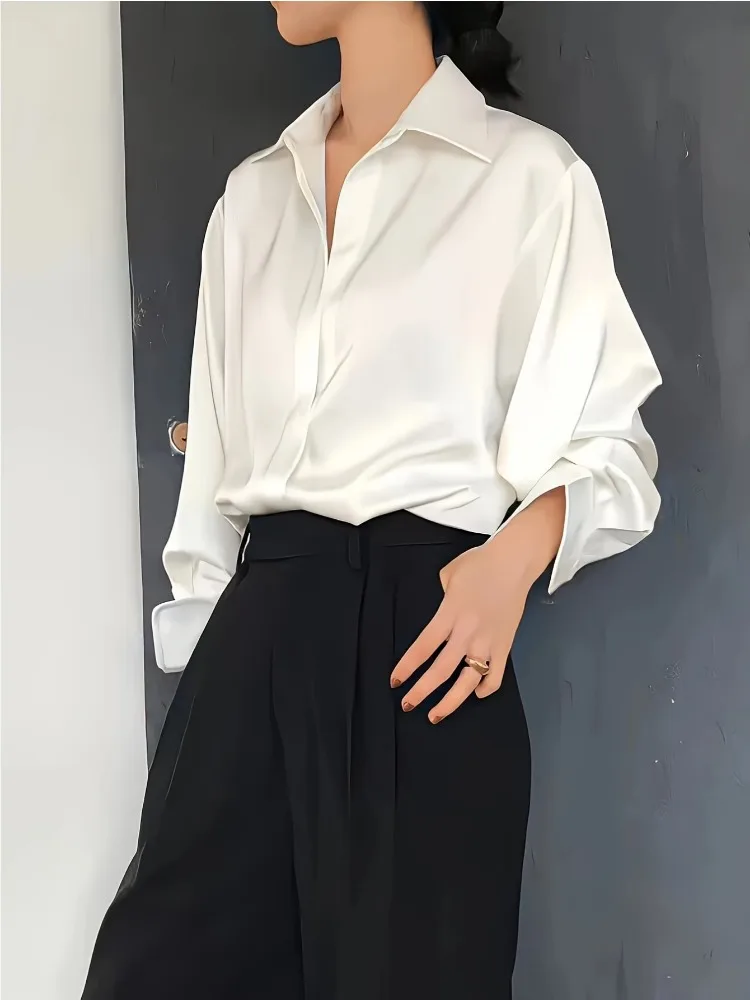 Plus size casual camisa de sed - Women'S Formal Wear Blouse avaliação e preço